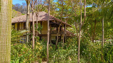 SURF AND YOGA RETREAT BLUE ZONE COSTA RICA 2021 SANTA TERESA