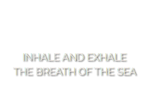 &nbsp;INHALE AND EXHALE
THE BREATH OF THE SEA